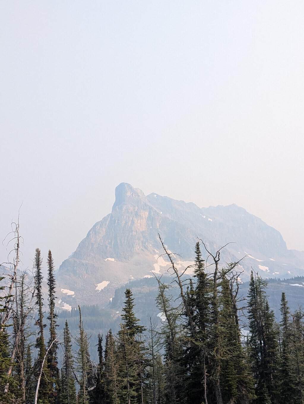 https://ecolens.ca/wp-content/uploads/2026/09/shared-image-2.jpg
